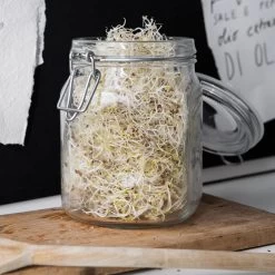 Glasdose 1L -Heimtextilien Geschäft 300794 14382 1