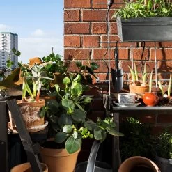 Balkonkasten Zink -Heimtextilien Geschäft 301791 12847