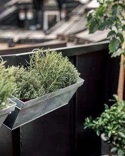 Balkonkasten Zink -Heimtextilien Geschäft 301791 38941