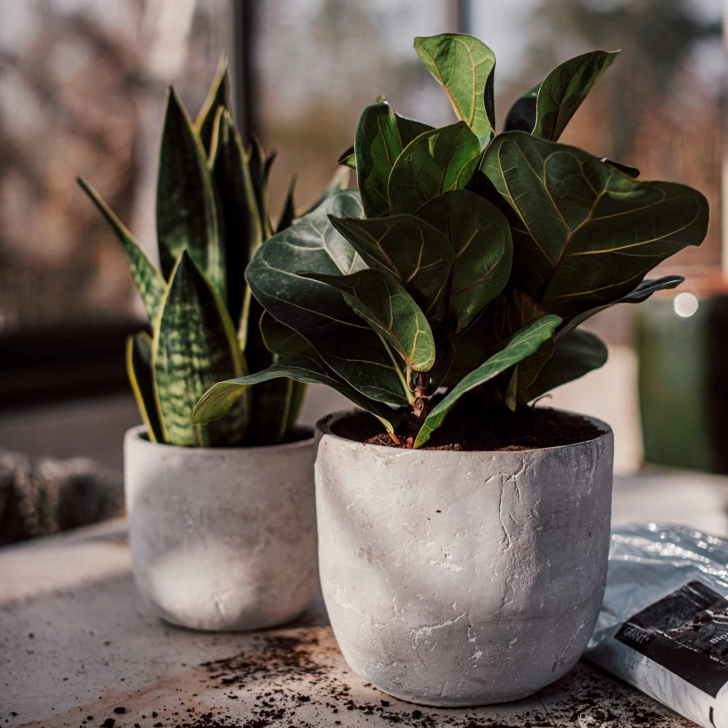 Blumentopf Beton Rund Ø15cm 6 Blumentopf Beton Rund Ø15cm – Bild 4