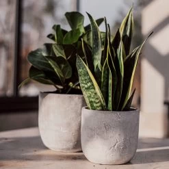 Blumentopf Beton Rund Ø15cm 12 Blumentopf Beton Rund Ø15cm -Heimtextilien Geschäft 302143 25174