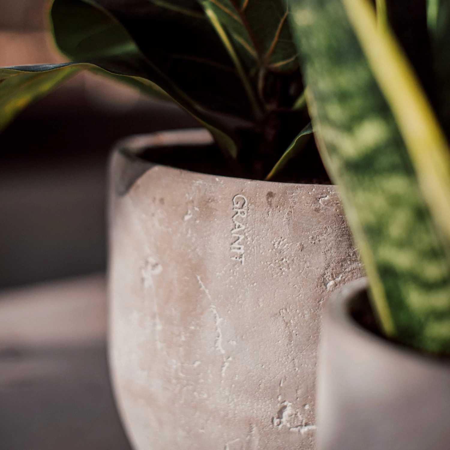 Blumentopf Beton Rund Ø15cm 8 Blumentopf Beton Rund Ø15cm – Bild 6