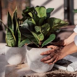 Blumentopf Beton Rund Ø19cm 10 Blumentopf Beton Rund Ø19cm -Heimtextilien Geschäft 302145 25172 1