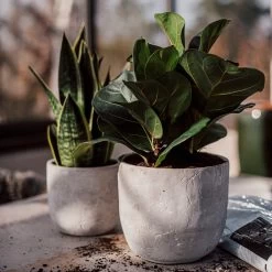 Blumentopf Beton Rund Ø19cm 11 Blumentopf Beton Rund Ø19cm -Heimtextilien Geschäft 302145 25173 1