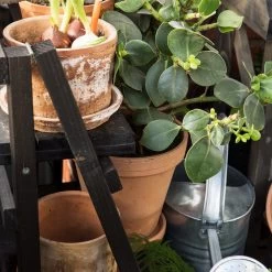 Blumentopf Terrakotta Ø18cm -Heimtextilien Geschäft 371269 12844