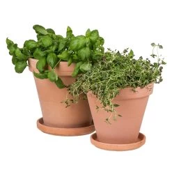 Blumentopf Terrakotta Ø18cm -Heimtextilien Geschäft 371269 5189