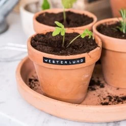 Klebeband Dymo 3er-Pack -Heimtextilien Geschäft 371533 13002