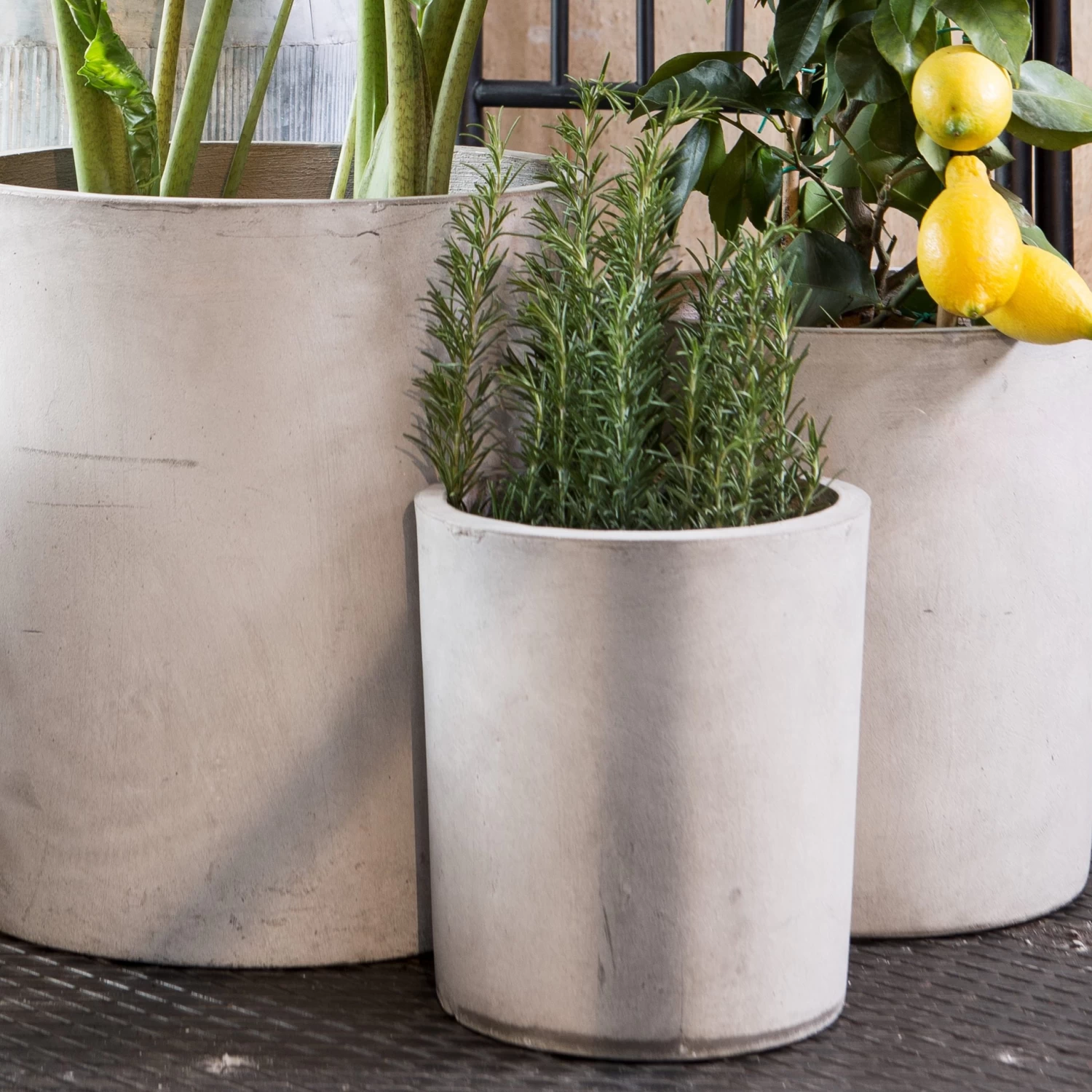 Blumentopf Beton Zylinder Ø18cm 4 Blumentopf Beton Zylinder Ø18cm – Bild 2