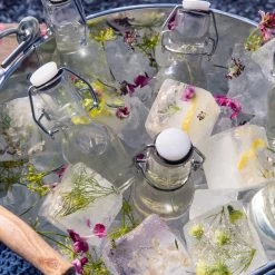 Flasche Patentkorken 5 Cl Schwarzer Ring -Heimtextilien Geschäft 372180 16752 1