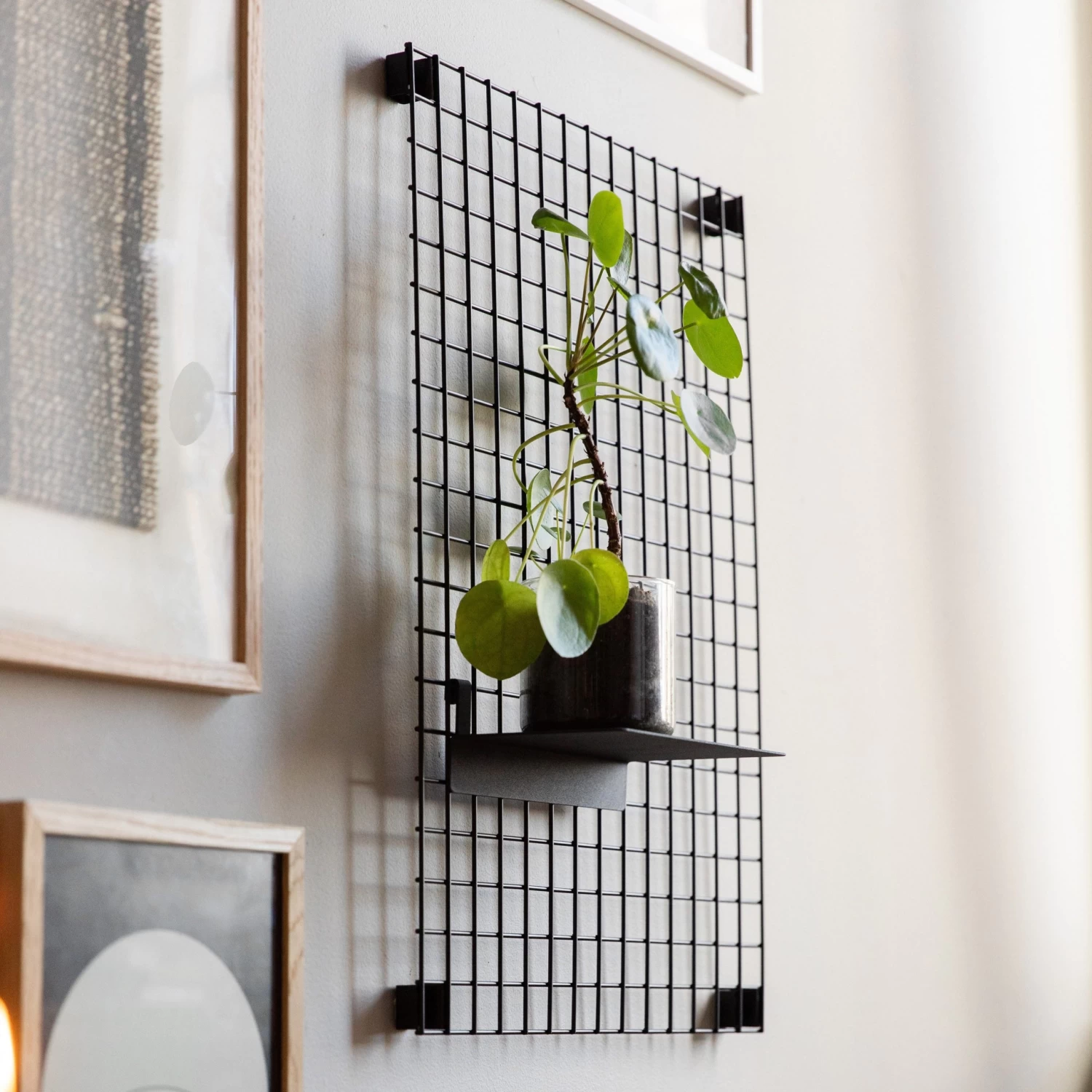 Regal Haken Schwarz 5 Regal Haken Schwarz – Bild 3