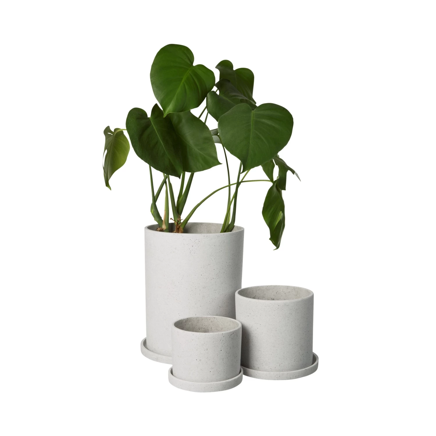 Blumentopf/Teller Polystone Klein Weiß 4 Blumentopf/Teller Polystone Klein Weiß – Bild 2