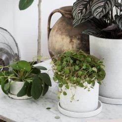 Blumentopf/Teller Polystone Klein Weiß 10 Blumentopf/Teller Polystone Klein Weiß -Heimtextilien Geschäft 373541 14719