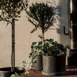 Blumentopf/Teller Polystone Klein Schwarz -Heimtextilien Geschäft 373916 34162