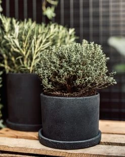 Blumentopf/Teller Polystone Klein Schwarz -Heimtextilien Geschäft 373916 38949