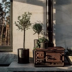 Blumentopf/Teller Polystone Mittel Schwarz -Heimtextilien Geschäft 373917 34163 1