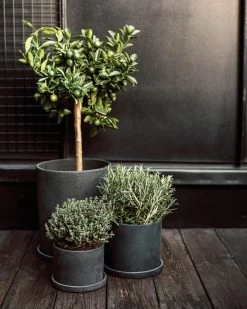 Blumentopf/Teller Polystone Groß Schwarz -Heimtextilien Geschäft 373918 38950