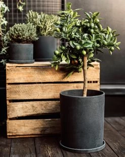 Blumentopf/Teller Polystone Groß Schwarz -Heimtextilien Geschäft 373918 38951