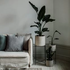 Piedestal Metall Klein 7 Piedestal Metall Klein -Heimtextilien Geschäft 374064 32643