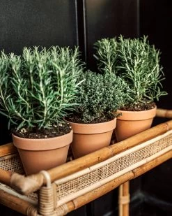 Blumentopf Terrakotta Ø 13,5 Cm -Heimtextilien Geschäft 374451 38945