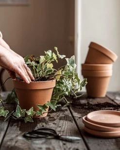 Blumentopf Terrakotta Ø 13,5 Cm -Heimtextilien Geschäft 374451 38947