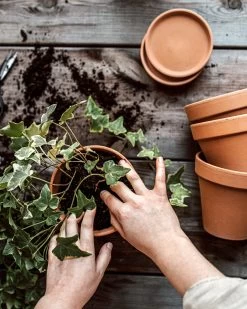 Blumentopf Terrakotta Ø 13,5 Cm -Heimtextilien Geschäft 374451 38948