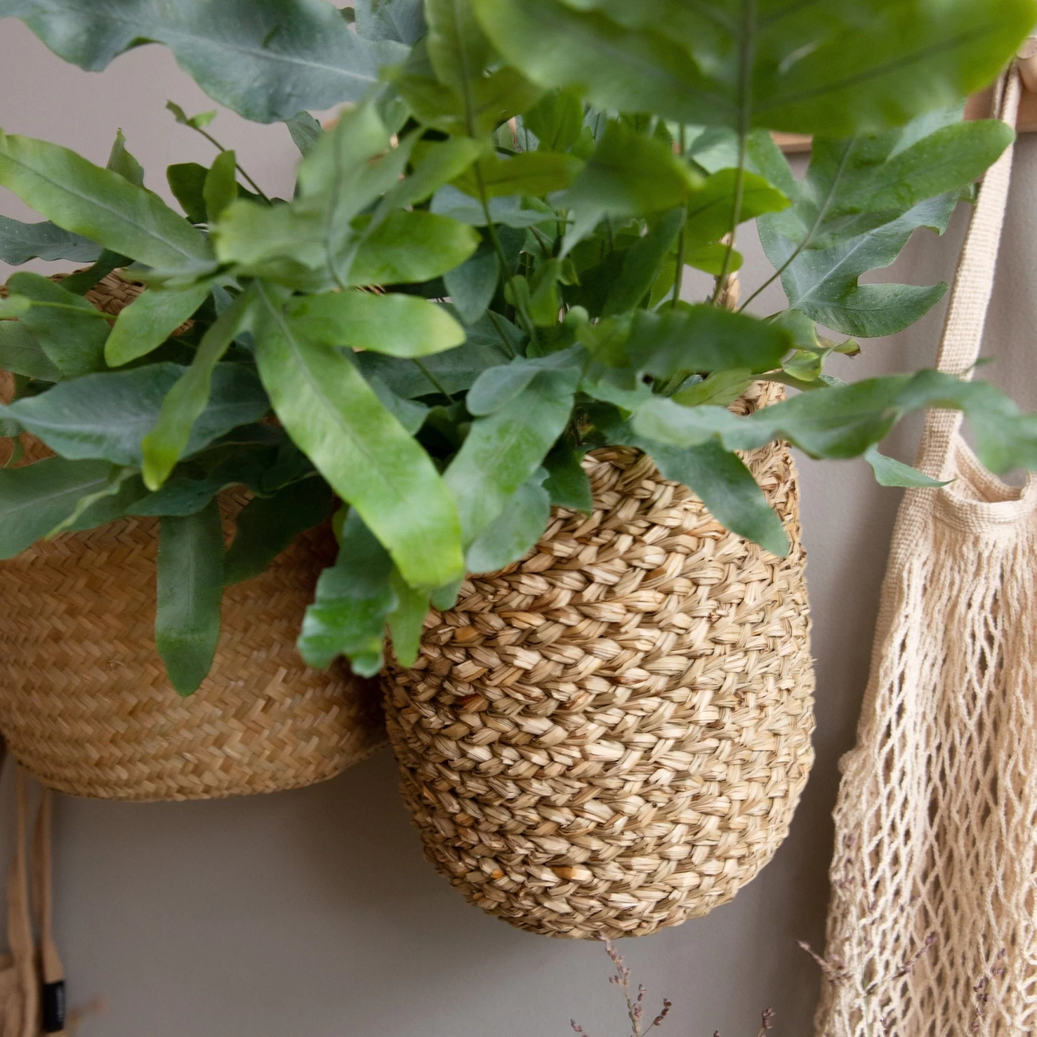 Wandkorb Rund Seegras 5 Wandkorb Rund Seegras – Bild 3