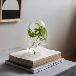 Pflanzenkuppel Glas Klein -Heimtextilien Geschäft 375457 21326