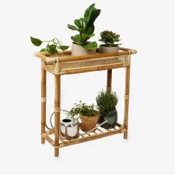 Pflanzenregal Rattan -Heimtextilien Geschäft 375553 18573