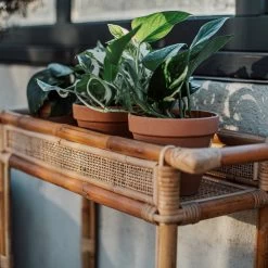 Pflanzenregal Rattan -Heimtextilien Geschäft 375553 25212 1