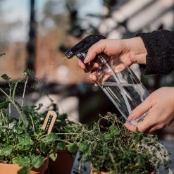 Sprühflasche Glas -Heimtextilien Geschäft 375610 25218