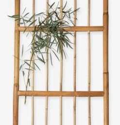 Spalier Rattan 10 Spalier Rattan -Heimtextilien Geschäft 375691 19173 3