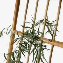 Spalier Rattan 11 Spalier Rattan -Heimtextilien Geschäft 375691 19195 3