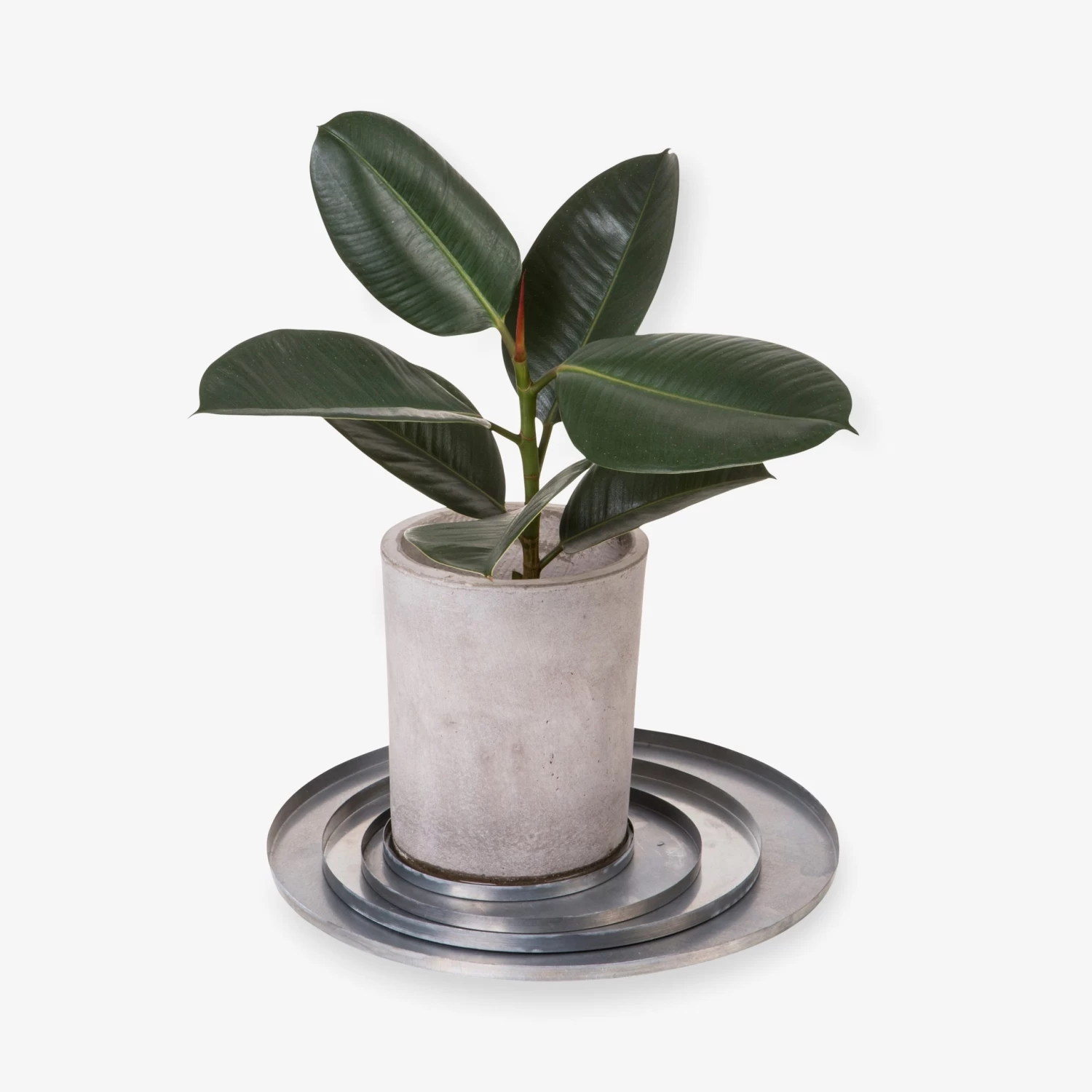 Blumentopfuntersetzer Eisen Silber Ø 17 Cm 5 Blumentopfuntersetzer Eisen Silber Ø 17 Cm – Bild 3