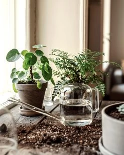 Gießkanne Glas -Heimtextilien Geschäft 375760 38966