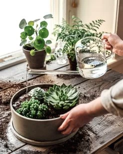 Gießkanne Glas -Heimtextilien Geschäft 375760 38967