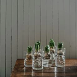 Hyazinthenvase Glatt Klarglas Klein -Heimtextilien Geschäft 376214 30320