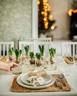 Hyazinthenvase Glatt Klarglas Klein -Heimtextilien Geschäft 376214 36916