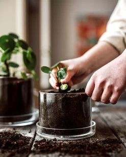 Blumentopf/Untersetzer Glaszylinder Klein -Heimtextilien Geschäft 376352 38952