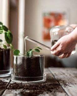 Blumentopf/Untersetzer Glaszylinder Klein -Heimtextilien Geschäft 376352 38953