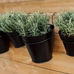 Aufhängung Blumentopf Metall Ø 20 Cm Schwarz -Heimtextilien Geschäft 400320 33426