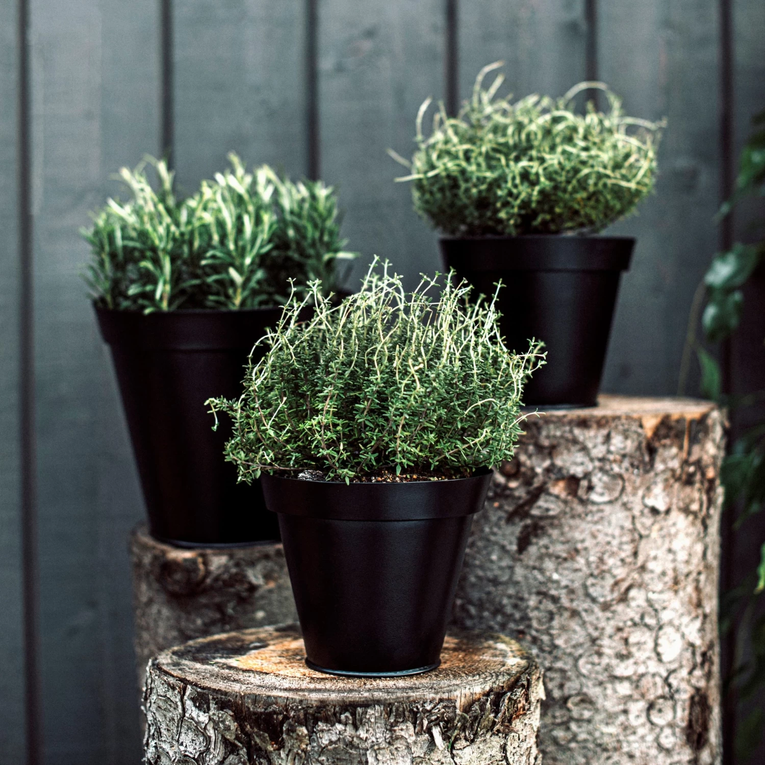 Blumentopf Metall Ø 15 Cm Schwarz 6 Blumentopf Metall Ø 15 Cm Schwarz – Bild 4