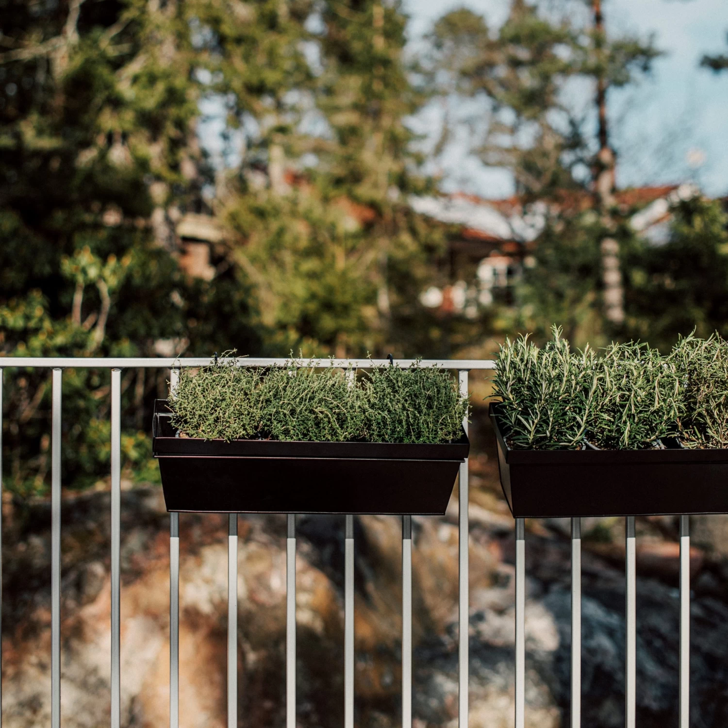 Aufhängung Balkonkasten Metall Schwarz 5 Aufhängung Balkonkasten Metall Schwarz – Bild 3