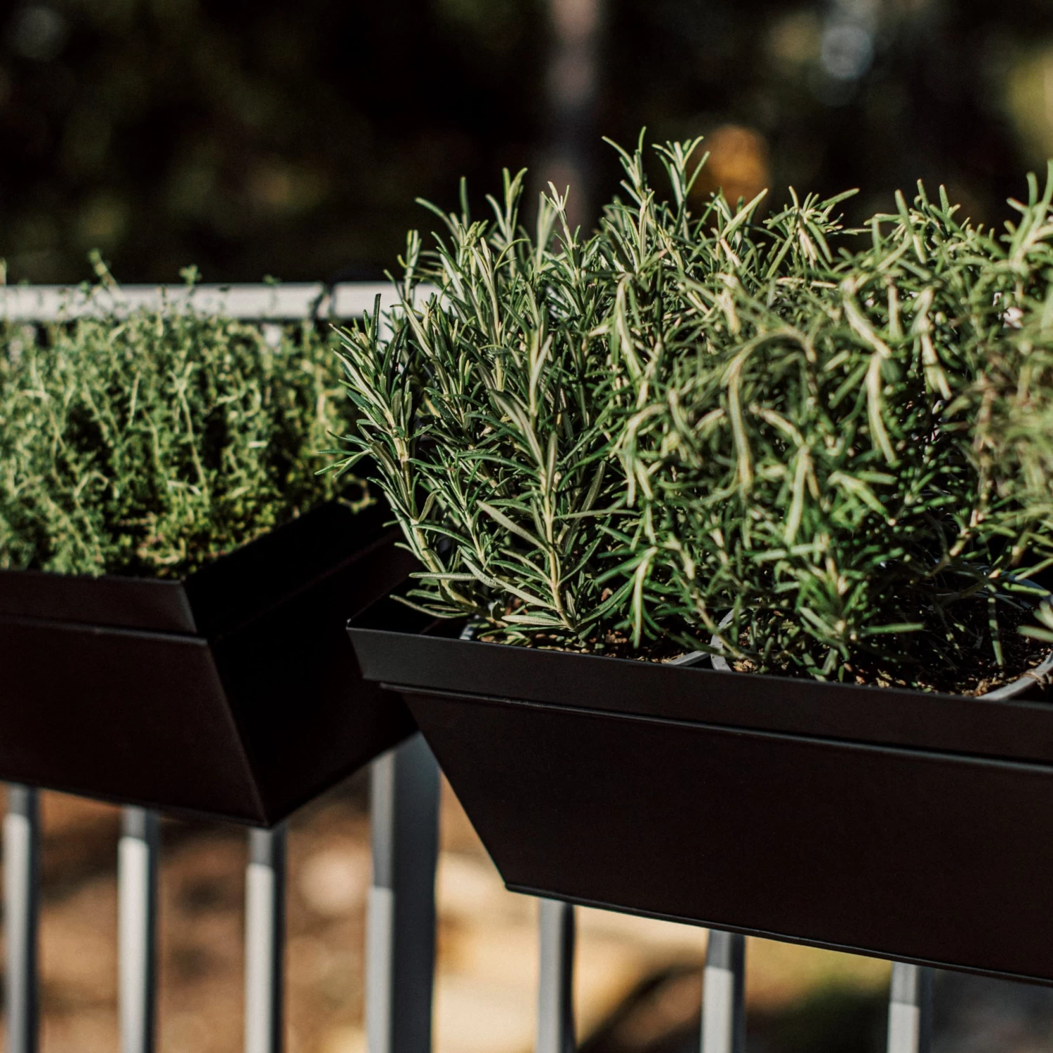 Aufhängung Balkonkasten Metall Schwarz 6 Aufhängung Balkonkasten Metall Schwarz – Bild 4