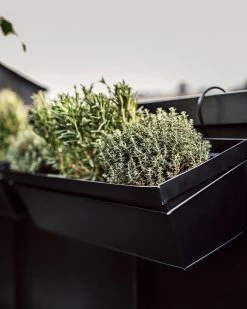 Aufhängung Balkonkasten Metall Schwarz 13 Aufhängung Balkonkasten Metall Schwarz -Heimtextilien Geschäft 400323 38944