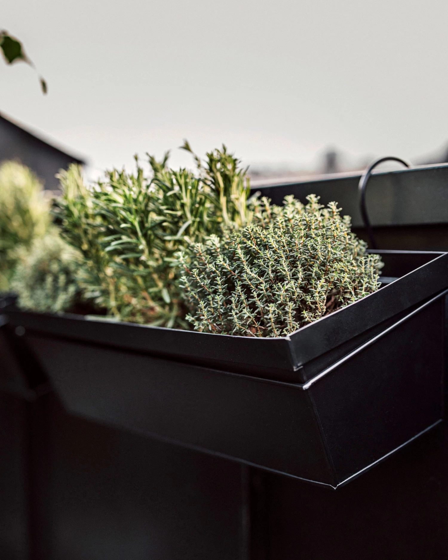 Aufhängung Balkonkasten Metall Schwarz 8 Aufhängung Balkonkasten Metall Schwarz – Bild 6