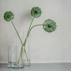 Vase Glas Zylinder H 20 Cm Ø 15 Cm -Heimtextilien Geschäft 400752 29505