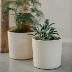 Blumentopf Glasiert 13 Cm Creme -Heimtextilien Geschäft 400888 28330