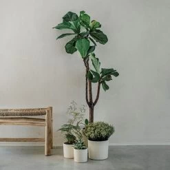 Blumentopf Glasiert 13 Cm Creme -Heimtextilien Geschäft 400888 28333