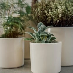 Blumentopf Glasiert 13 Cm Creme -Heimtextilien Geschäft 400888 28335