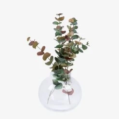 Tulpenvase Blase Ø 27 Cm H 22 Cm Klarglas 7 Tulpenvase Blase Ø 27 Cm H 22 Cm Klarglas -Heimtextilien Geschäft 400904 28940